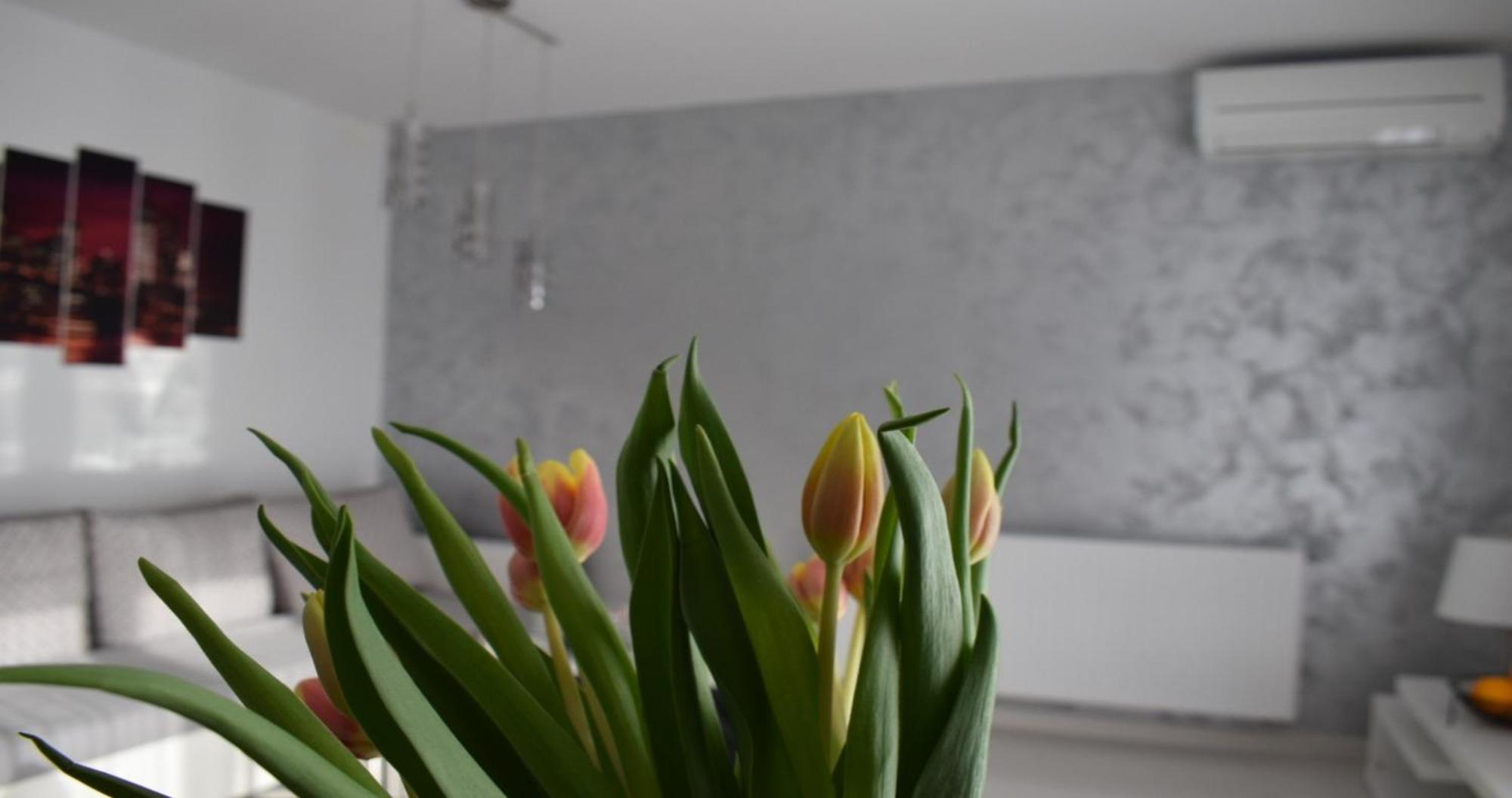Apartmani Foresta Kras المظهر الخارجي الصورة