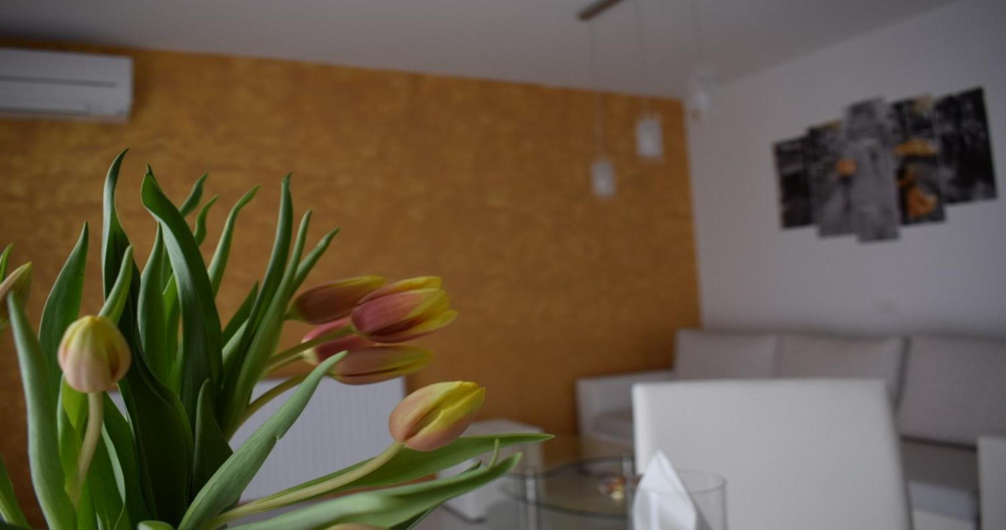 Apartmani Foresta Kras المظهر الخارجي الصورة